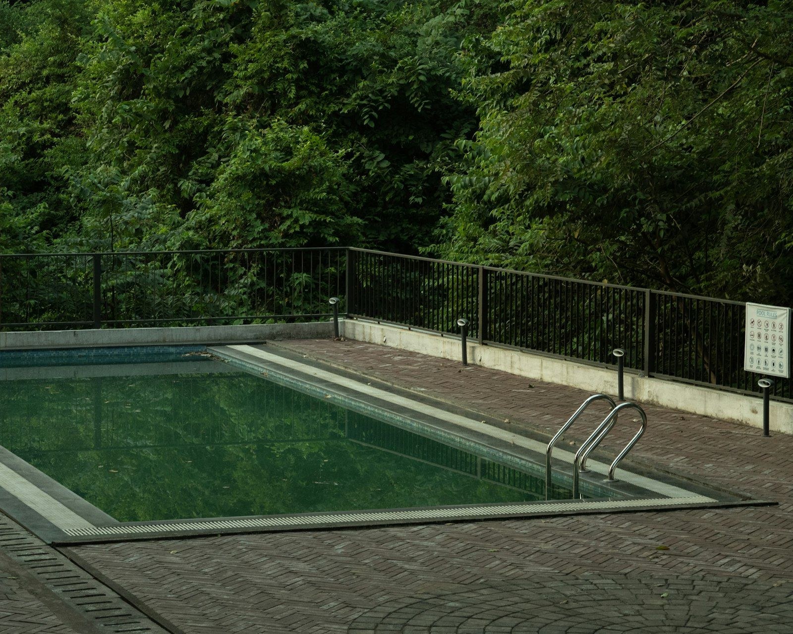 A swimming pool full of dark green water, with woods behind the fence.