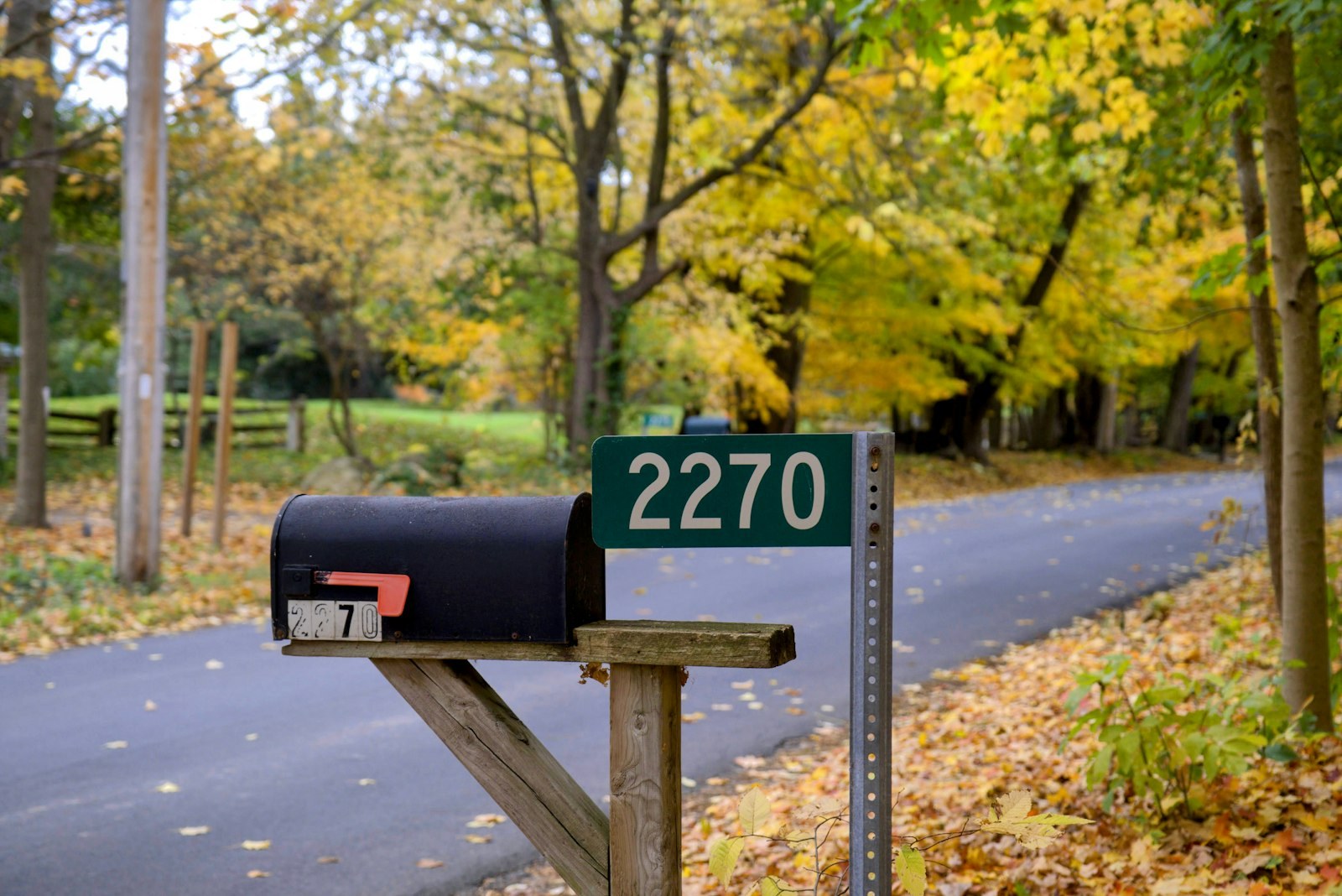 A black mailbox and a house number sign beside a road in the fall.