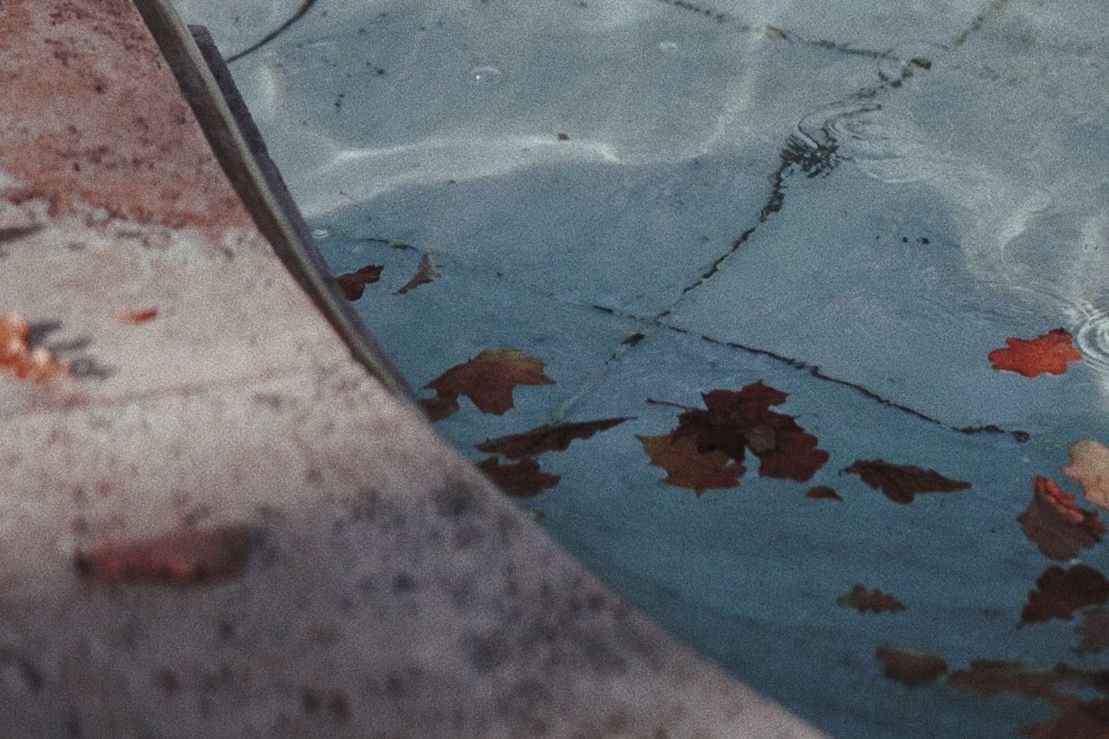 Brown leaves lying in pool water over a cracked floor, beside the coping.