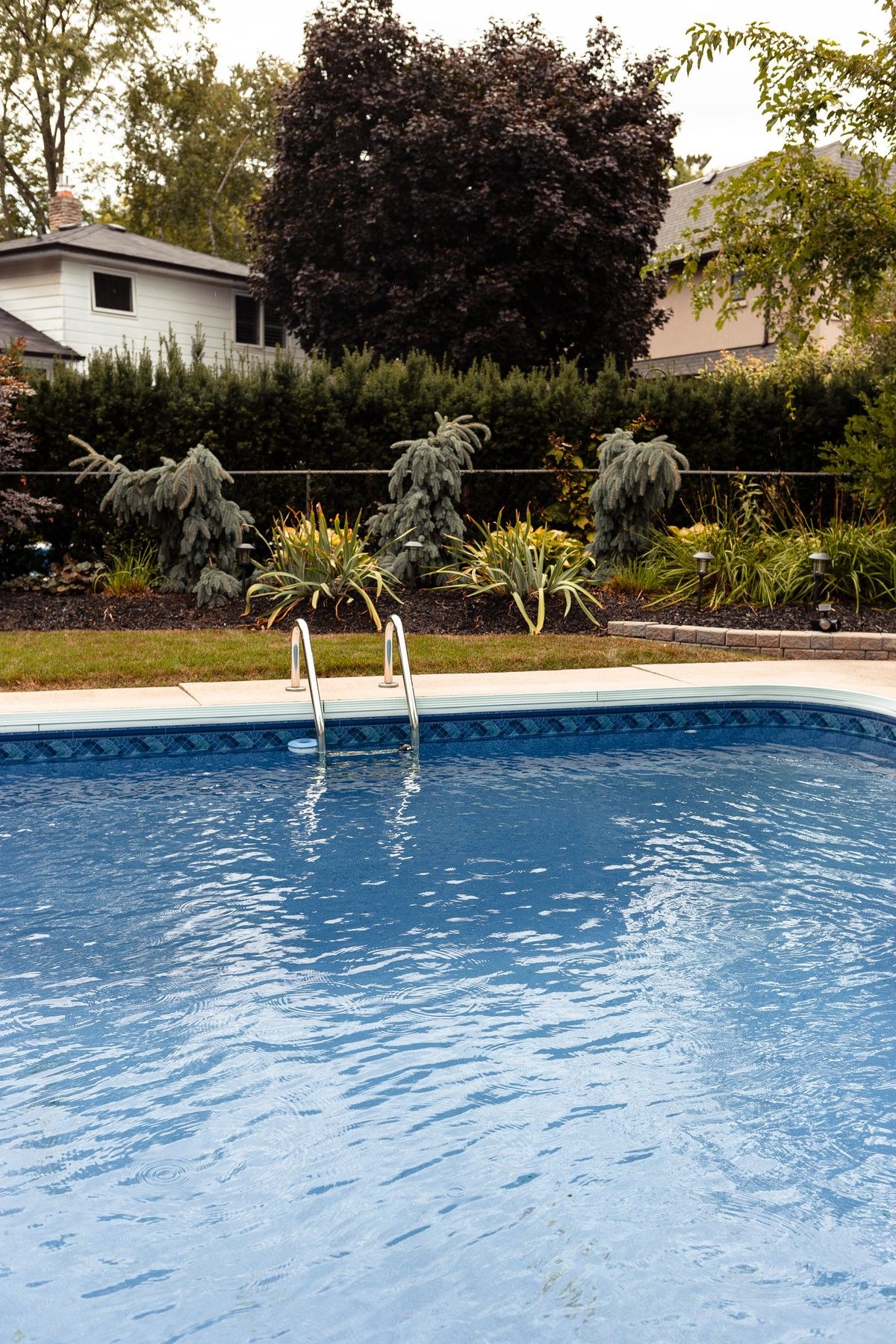 A backyard swimming pool with a ladder, a lawn and a hedge behind it.