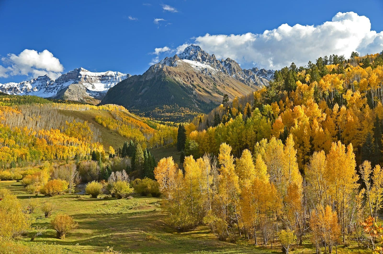 Golden aspens below snow-capped peaks at Dallas Divide, Colorado.