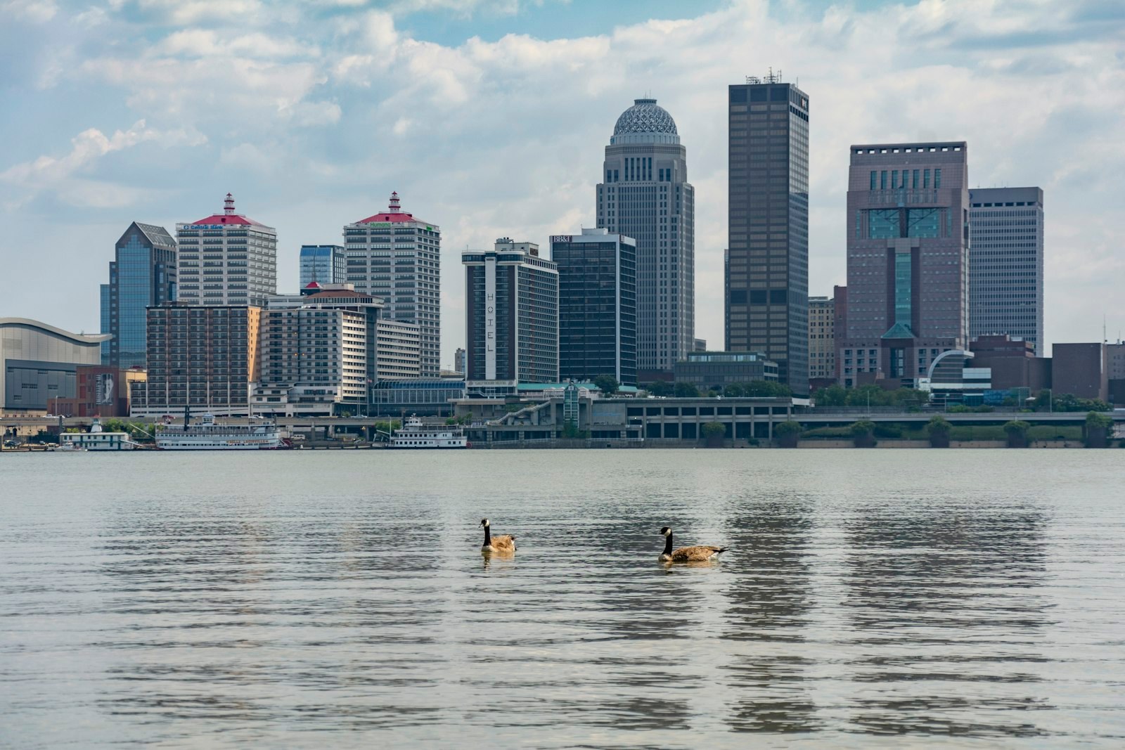 The Louisville skyline across the Ohio River.