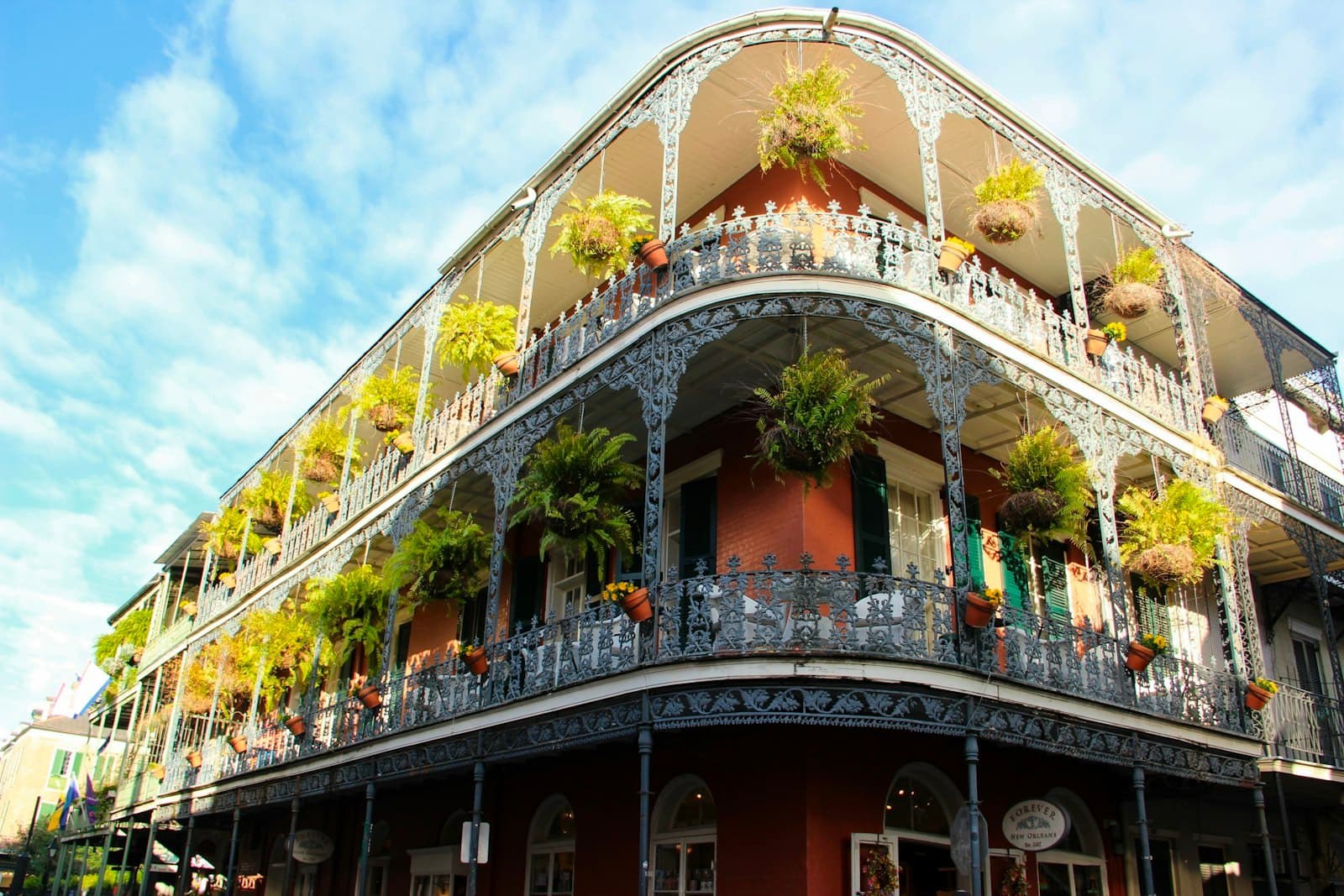 A French Quarter corner balcony hung with ferns in New Orleans.