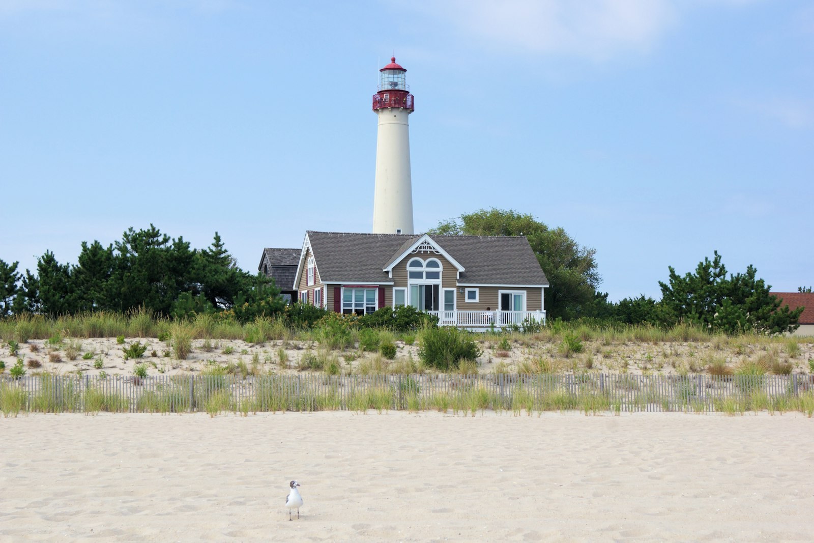 The Cape May Lighthouse behind the dunes on the New Jersey shore.