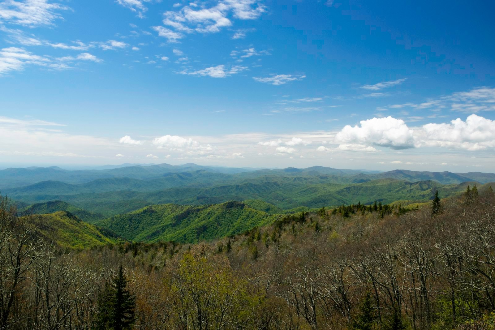 Blue Ridge mountain ridges in North Carolina under a blue sky.