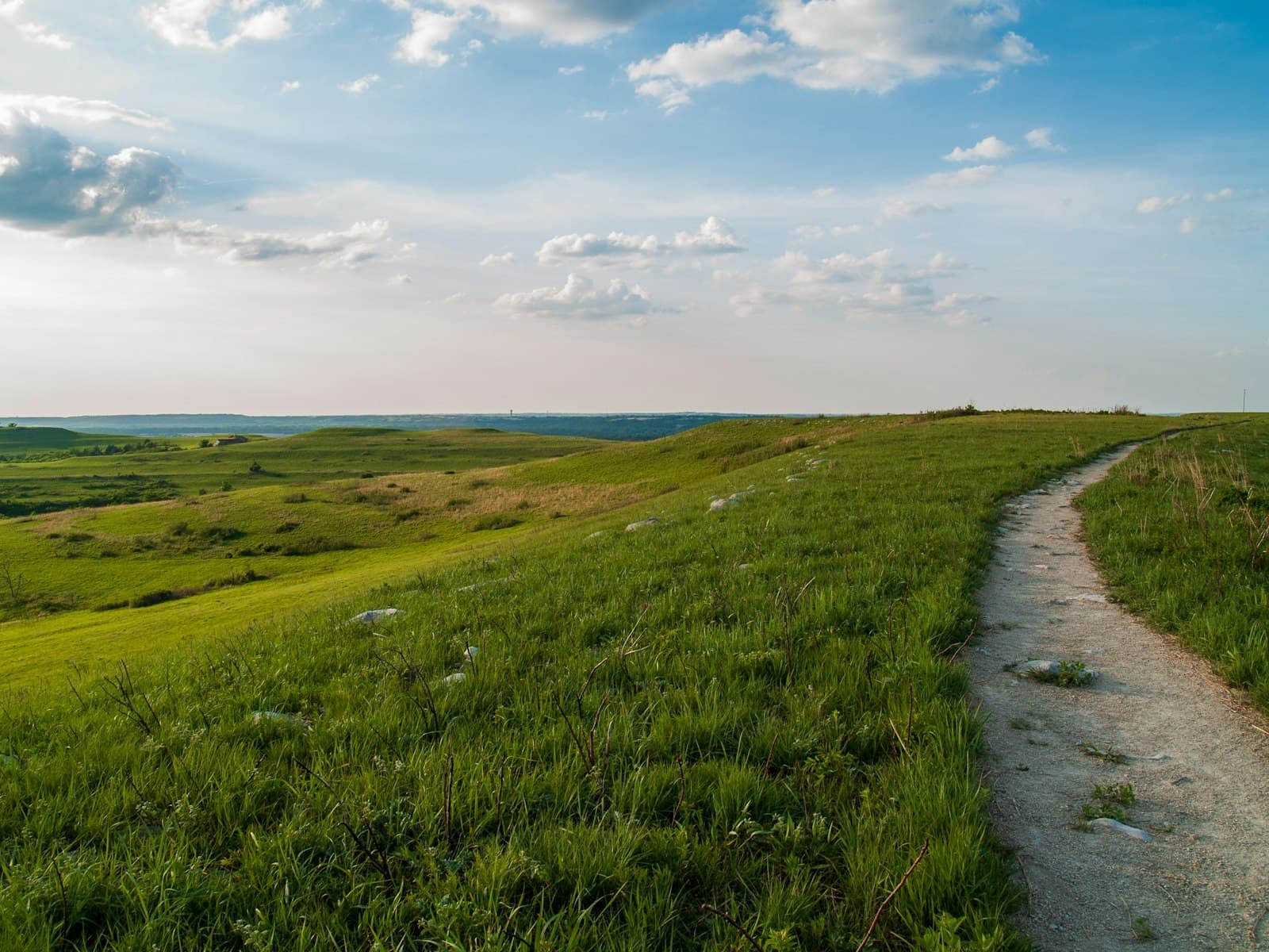 A trail across the Konza Prairie in the Kansas Flint Hills.