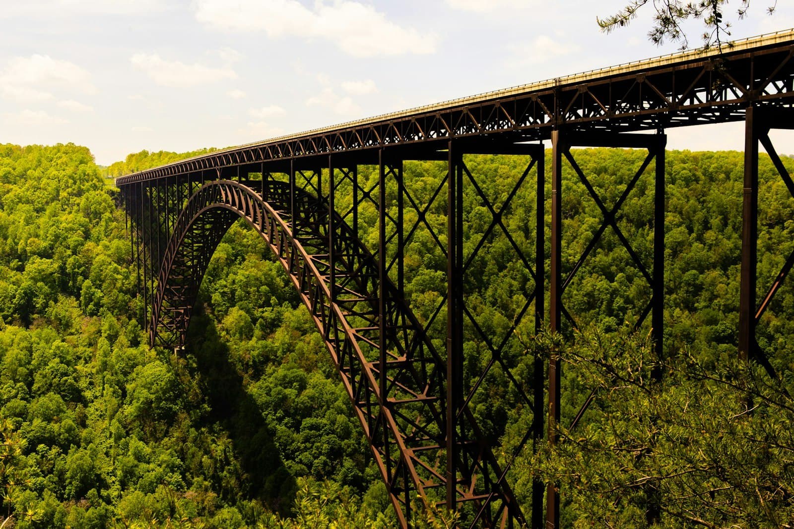 The New River Gorge Bridge above the forest in West Virginia.